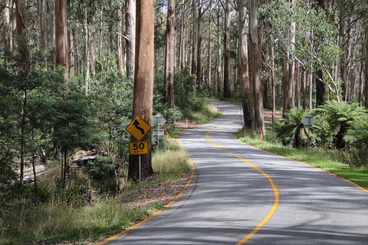 Experience The World of Driving Adventures Cover Image